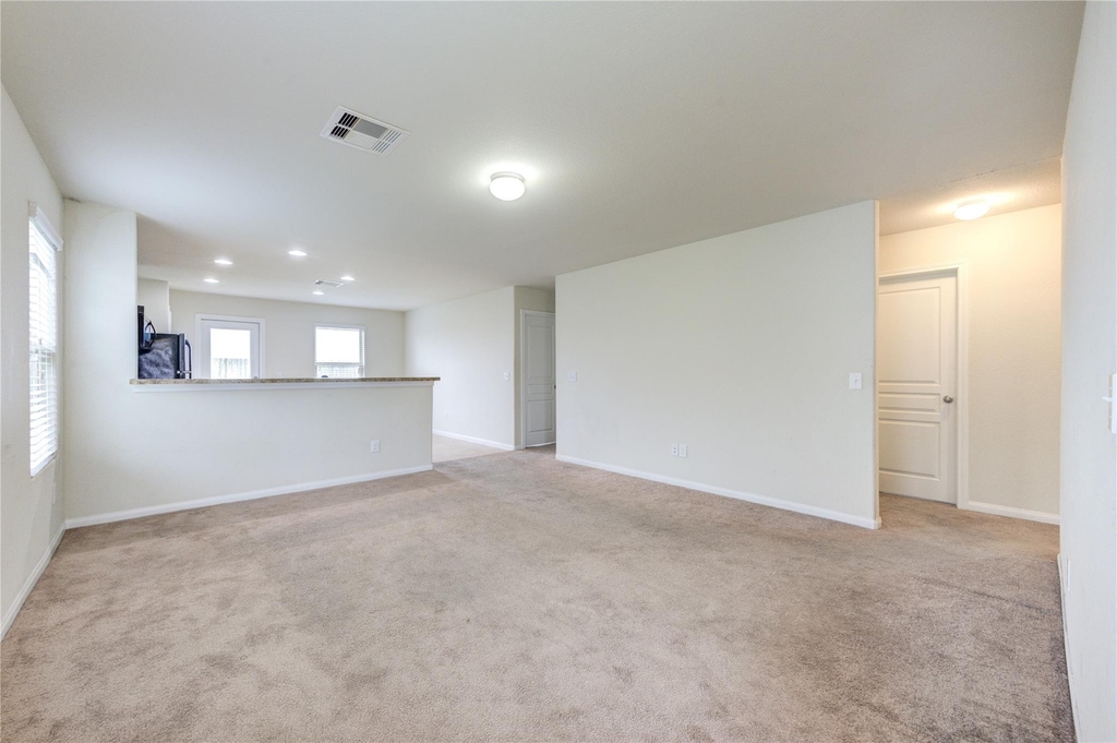 1315 Pease River Lane - Photo 8