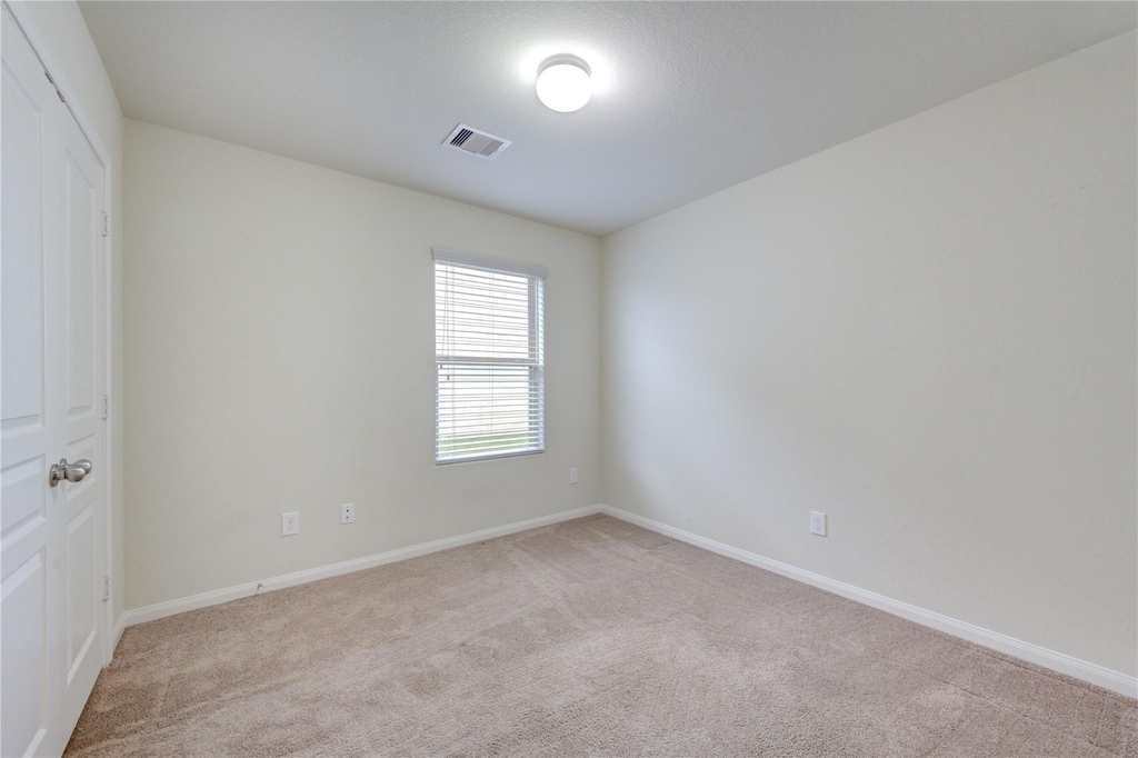 1315 Pease River Lane - Photo 16