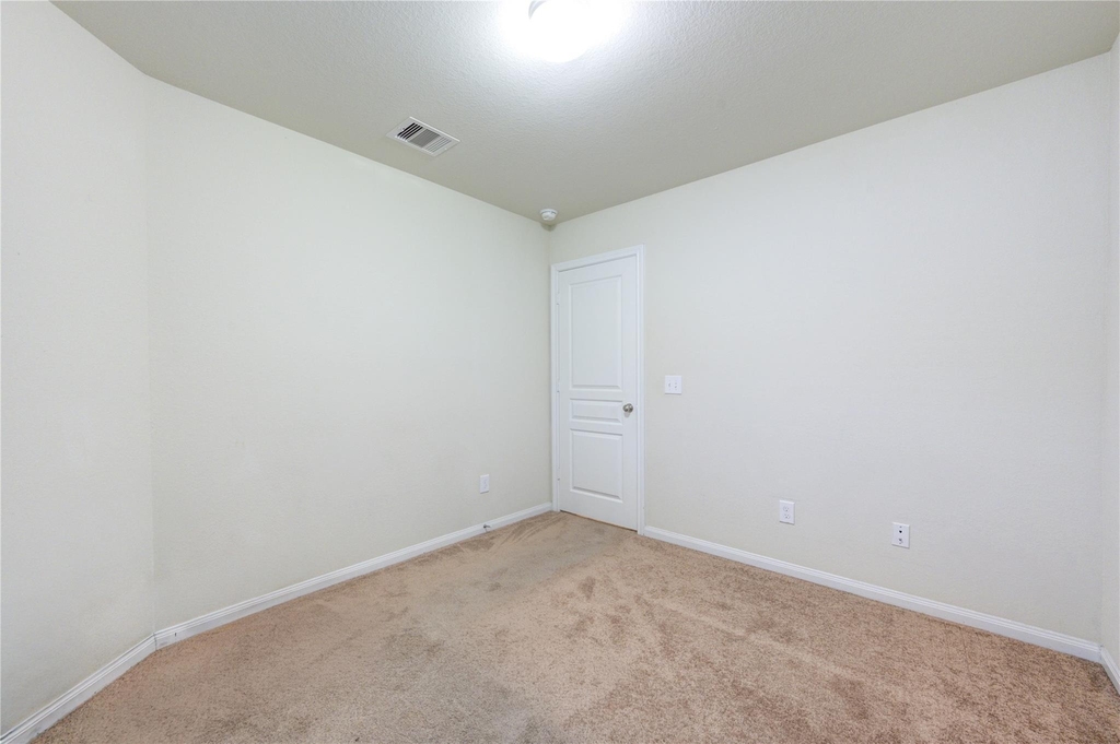 1315 Pease River Lane - Photo 13