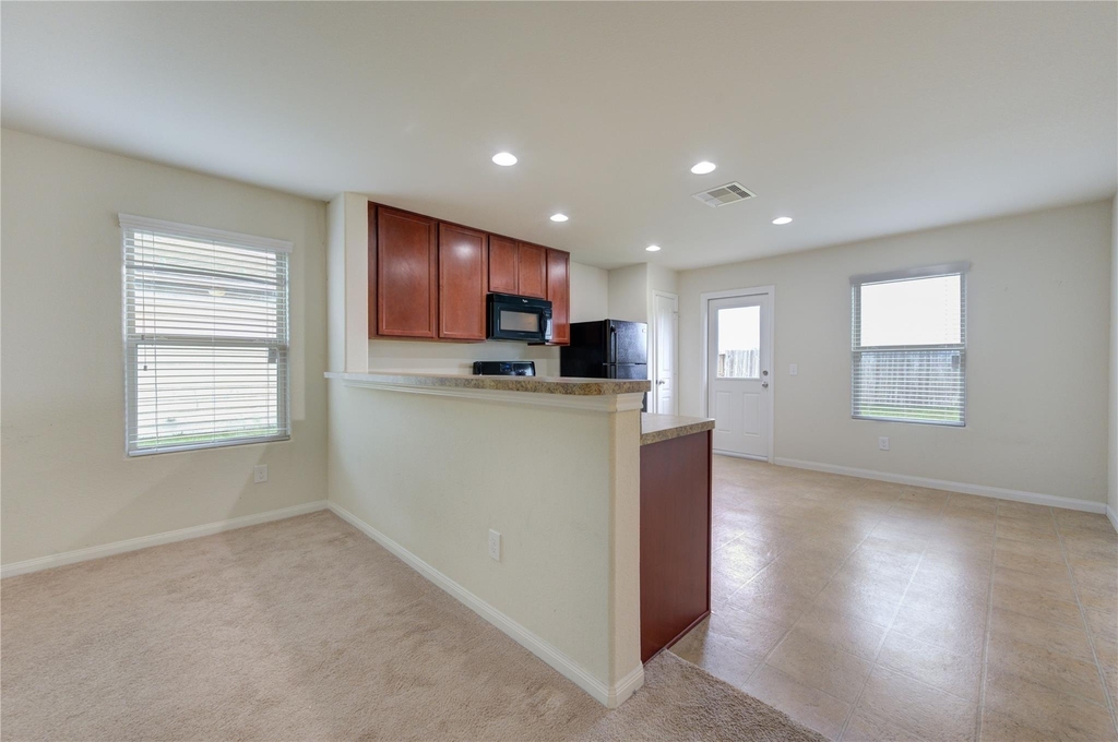 1315 Pease River Lane - Photo 12