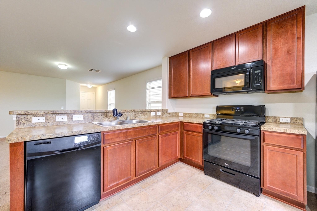 1315 Pease River Lane - Photo 10