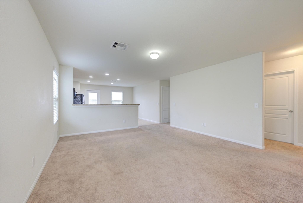 1315 Pease River Lane - Photo 6