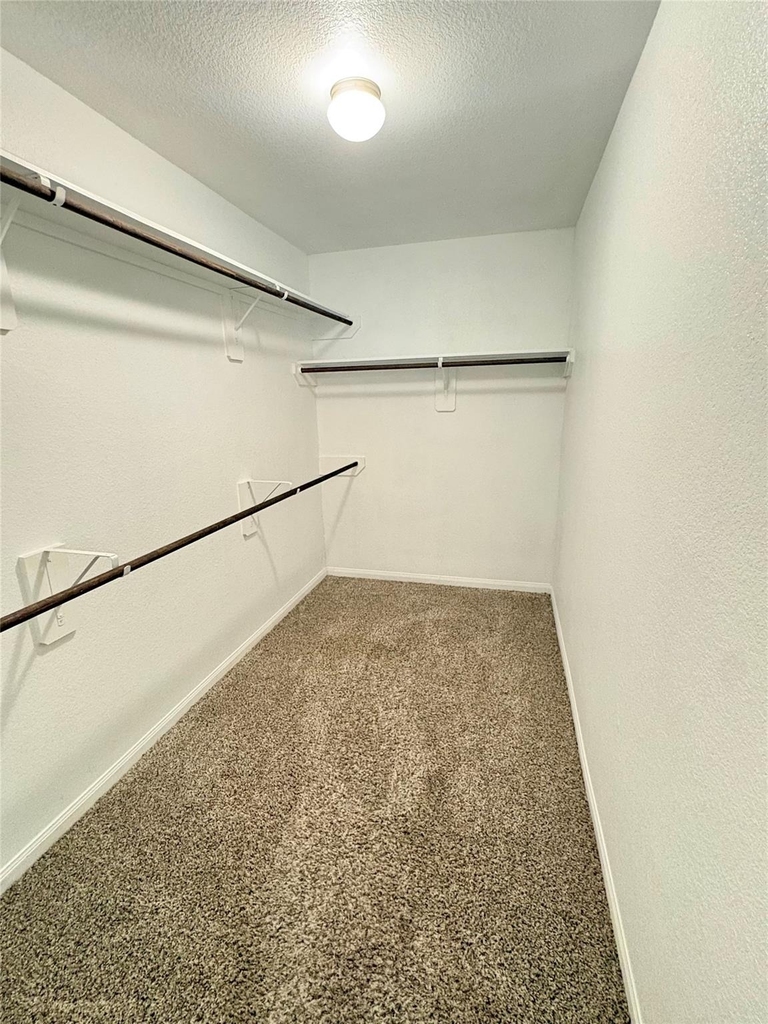 25364 Grotto Falls Lane - Photo 10