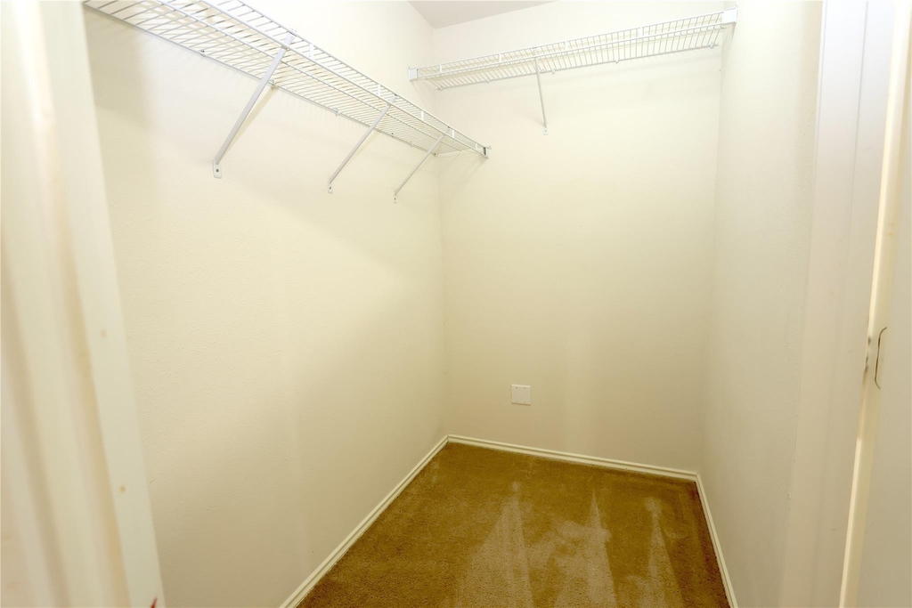4823 Canyon Blanco Drive - Photo 8