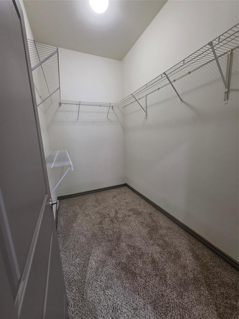 3616 Richmond - Photo 8