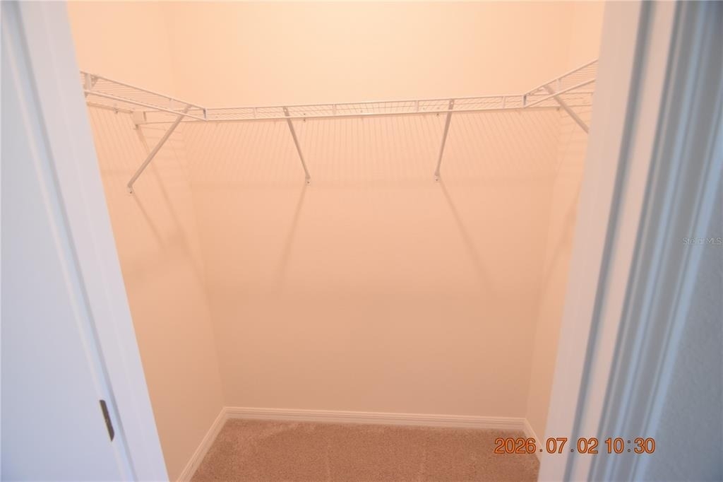 32003 Conchshell Sail Street - Photo 33
