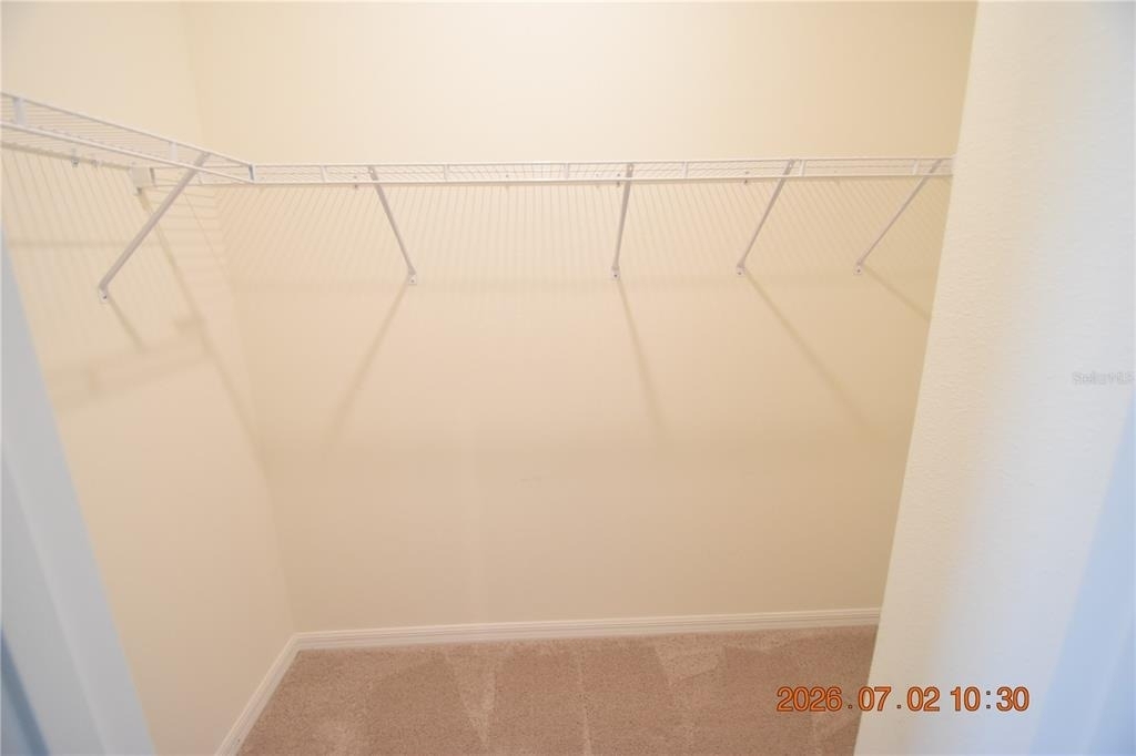 32003 Conchshell Sail Street - Photo 34