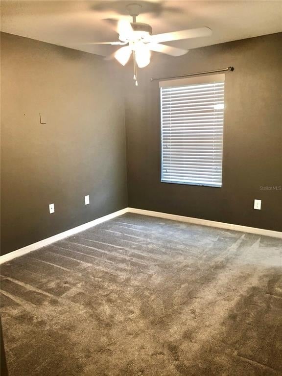 8541 Brushleaf Way - Photo 10