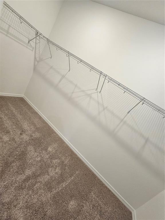 5746 Cattle Ranch Dr - Photo 13