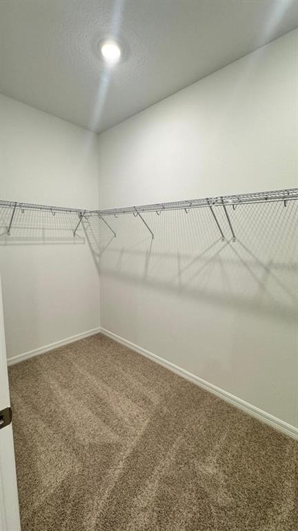 5746 Cattle Ranch Dr - Photo 24
