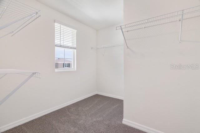 8686 Sw 44th Terrace - Photo 9
