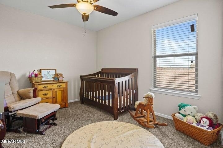 11344 Bar Ranch Court - Photo 19