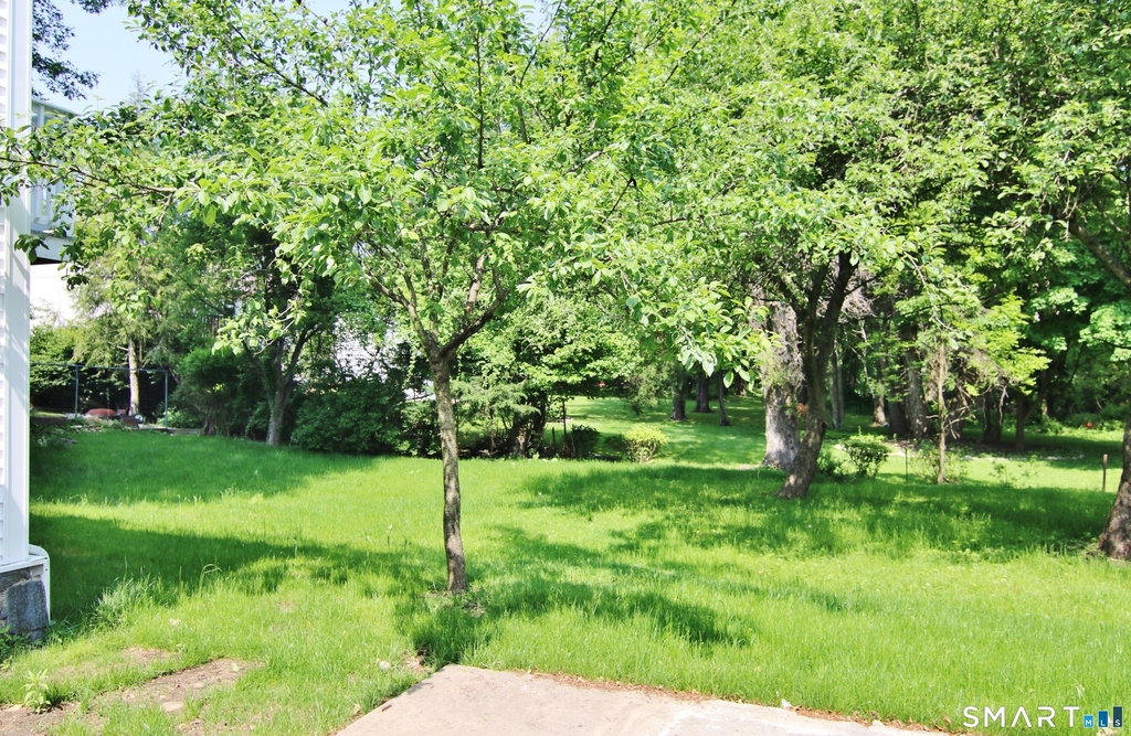 821 Long Ridge Road - Photo 18