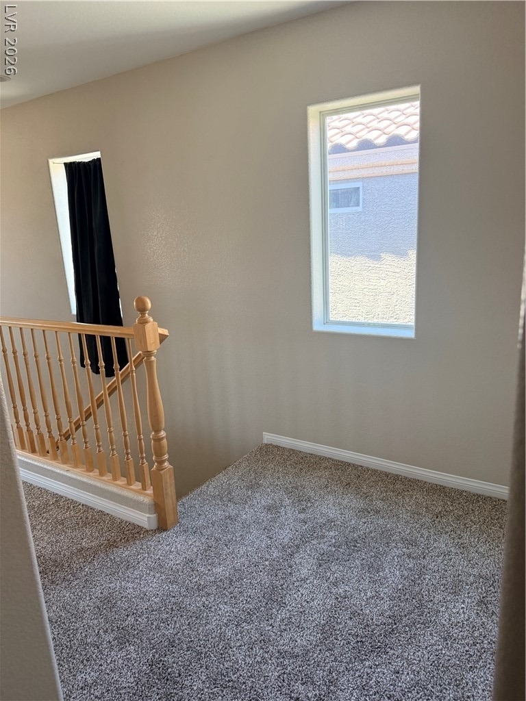 10569 Longoria Garden Street - Photo 14