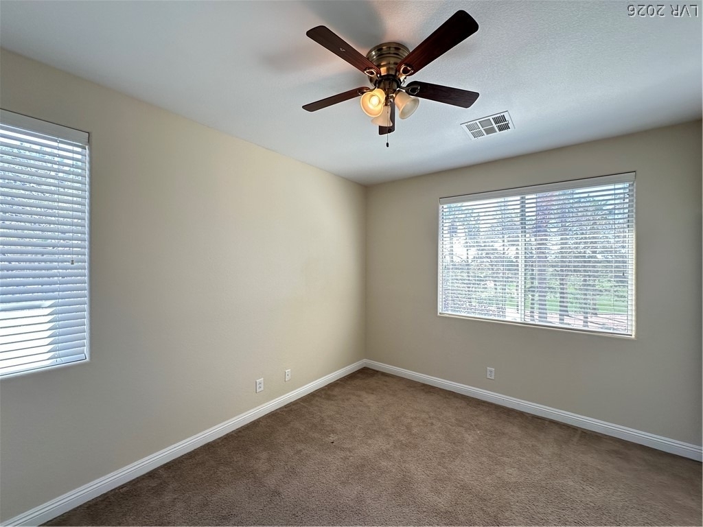 197 Spring Hollow Drive - Photo 12