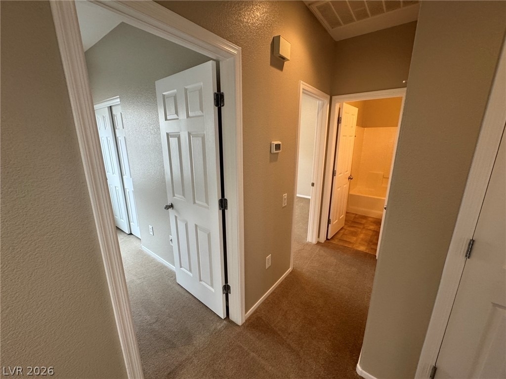 2924 Dotted Wren Avenue - Photo 11