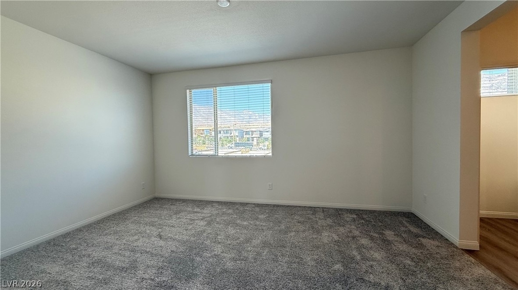 1513 Bat Hawk Street - Photo 23