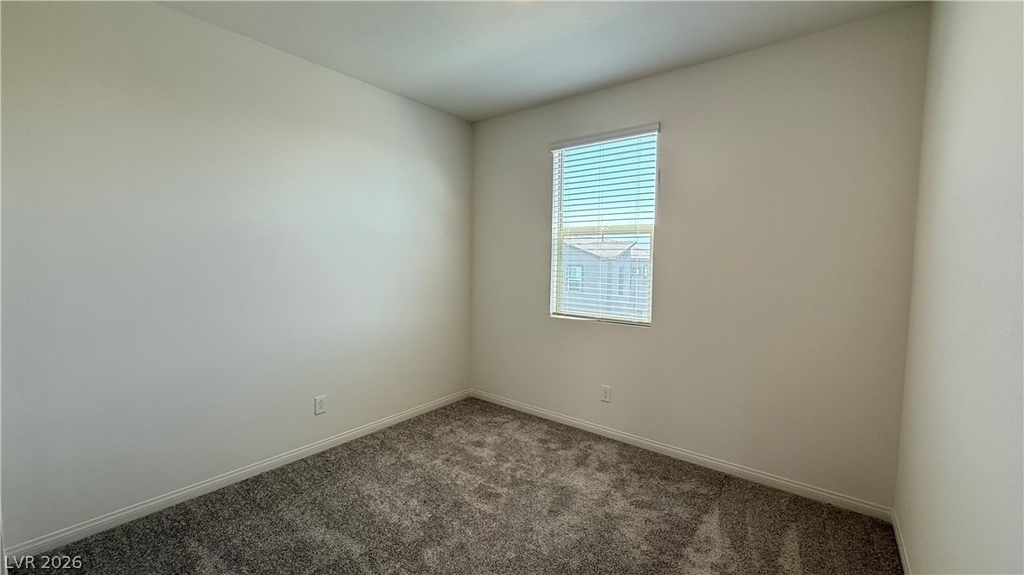 1513 Bat Hawk Street - Photo 20