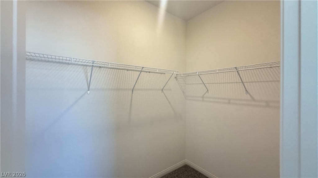 1513 Bat Hawk Street - Photo 3
