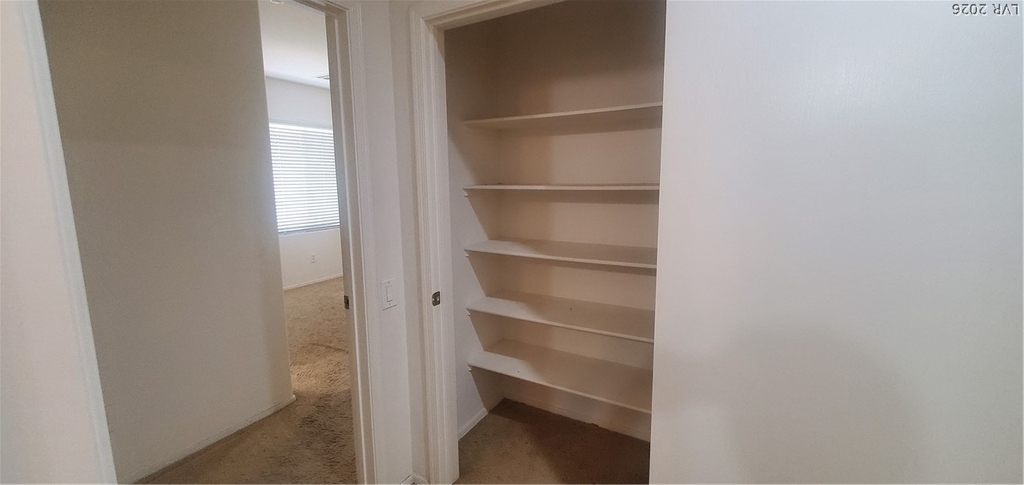 6868 Sky Pointe Drive - Photo 15