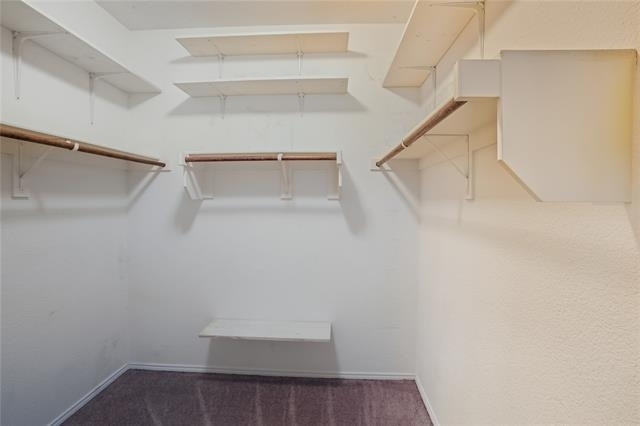 8101 Kurgan Trail - Photo 23