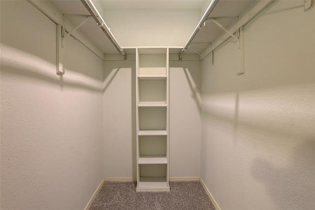 711 Wolftrap Drive - Photo 10