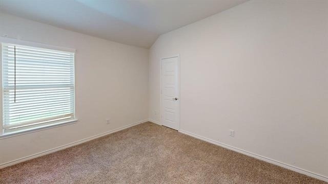 221 Longhorn Pass - Photo 16