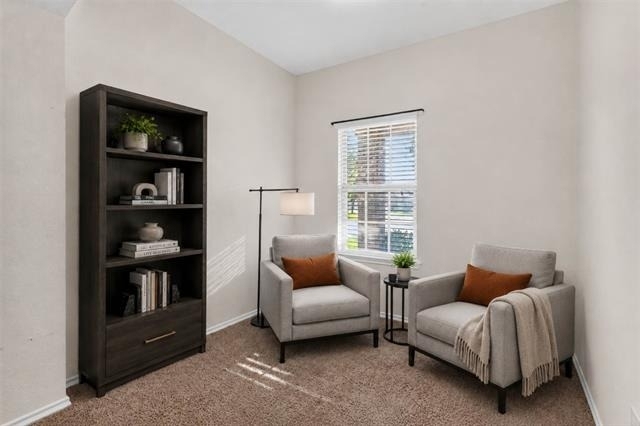 1702 Wild Rye Circle - Photo 9