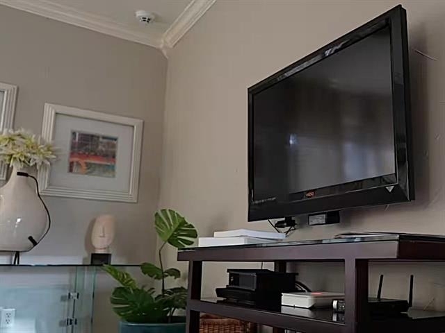 10562 High Hollows Drive - Photo 3