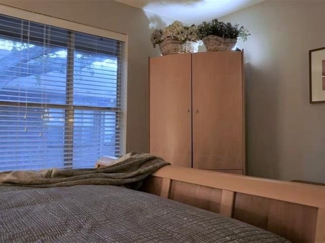 10562 High Hollows Drive - Photo 14