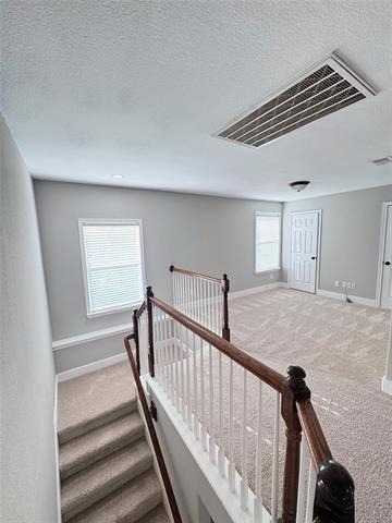 1008 Caudle Lane - Photo 13