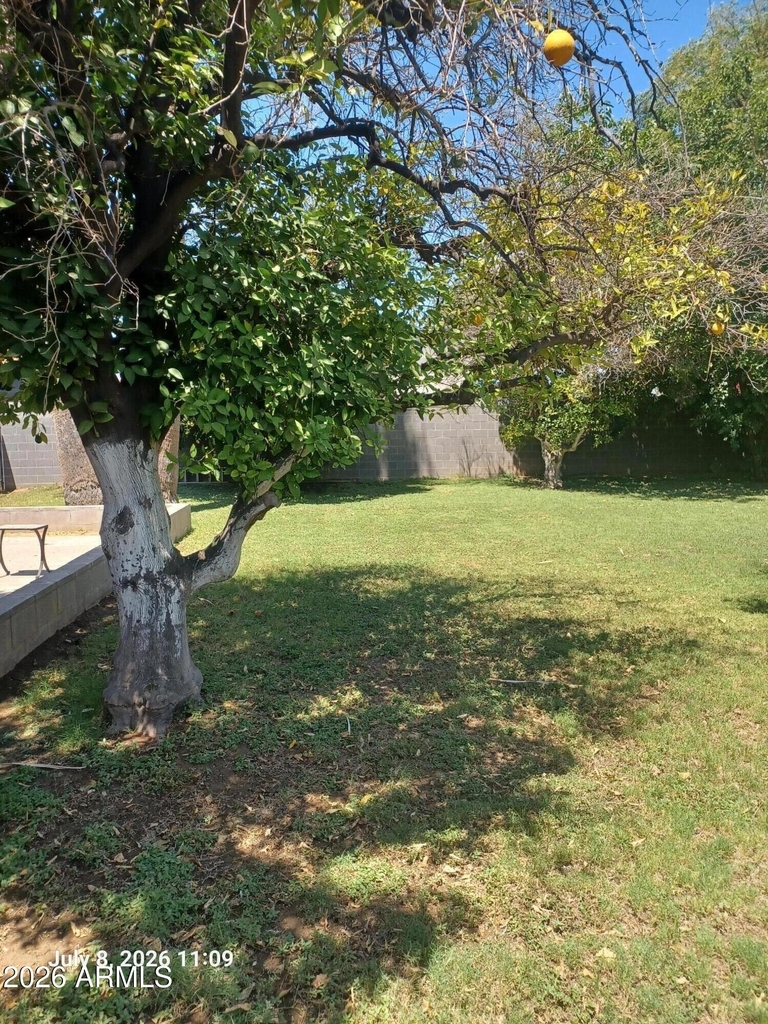 814 E Lamar Road - Photo 13