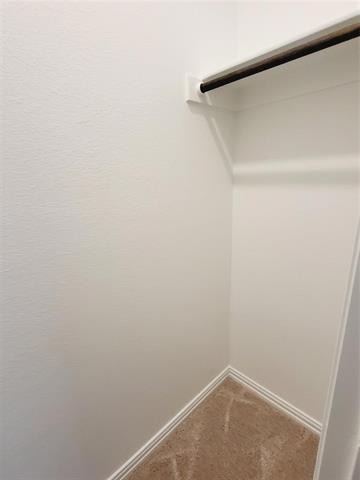 1204 Mimosa Lane - Photo 13