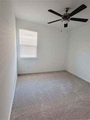 1204 Mimosa Lane - Photo 11