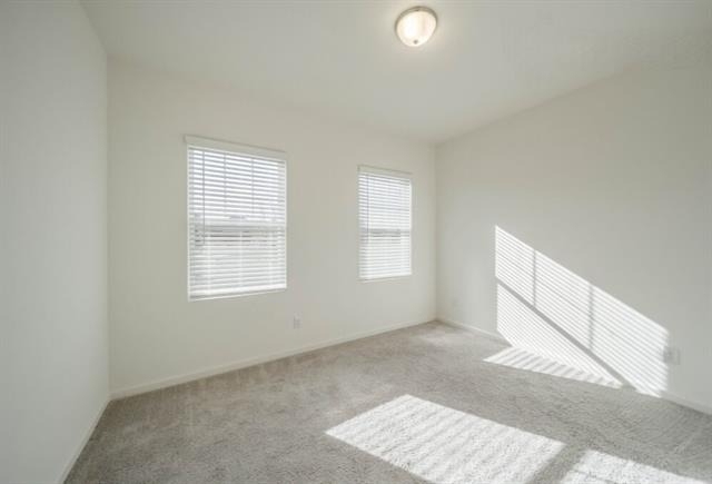 808 Juniper Street - Photo 12