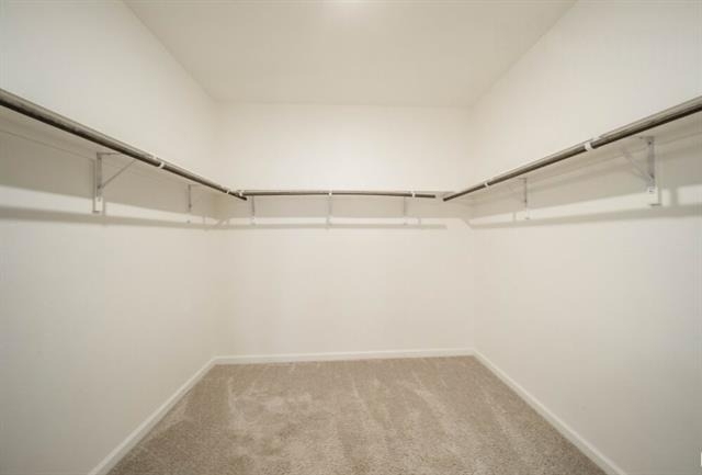 808 Juniper Street - Photo 19