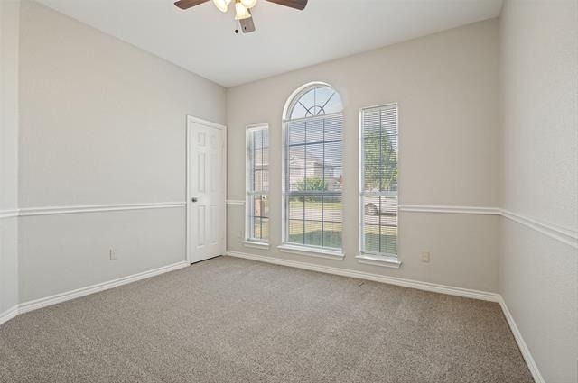 305 Boulder Creek Drive - Photo 16