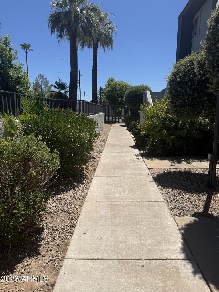 1215 E Lemon Street - Photo 3