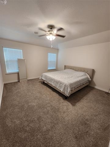1007 Marigold Street - Photo 5