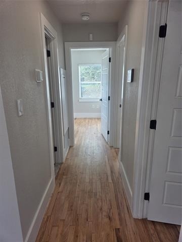 2329 Cass Street - Photo 9
