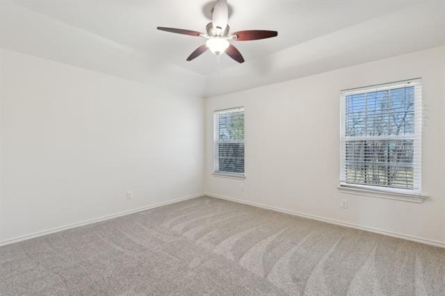 233 Firefly Drive - Photo 13