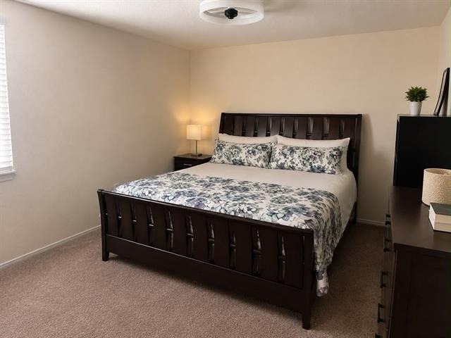 2313 Orchid Drive - Photo 11