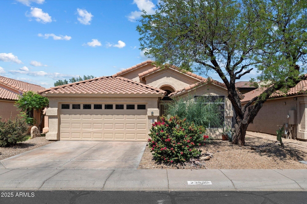 23590 N 73rd Place - Photo 34