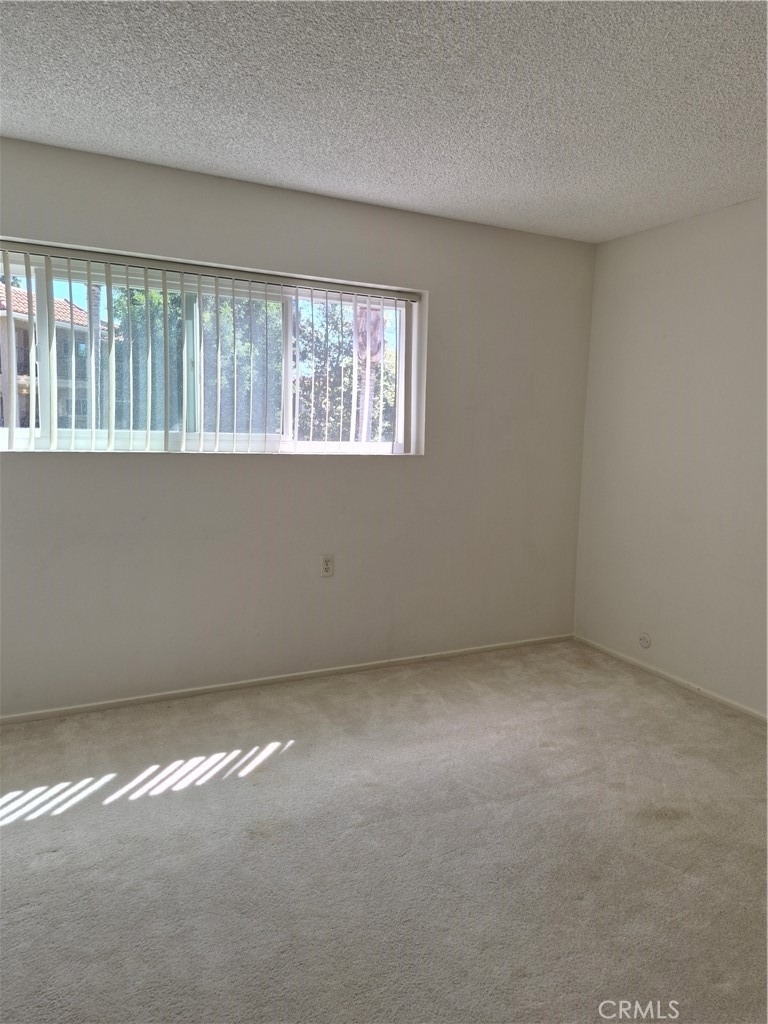 3244 San Amadeo - Photo 19