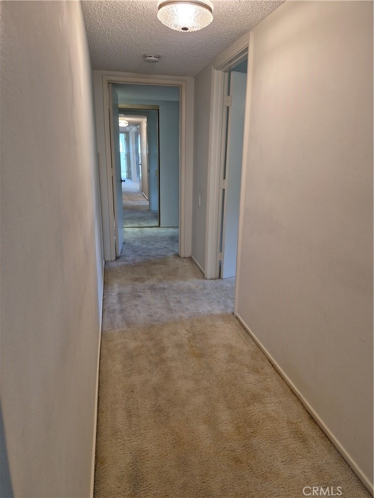 3244 San Amadeo - Photo 2