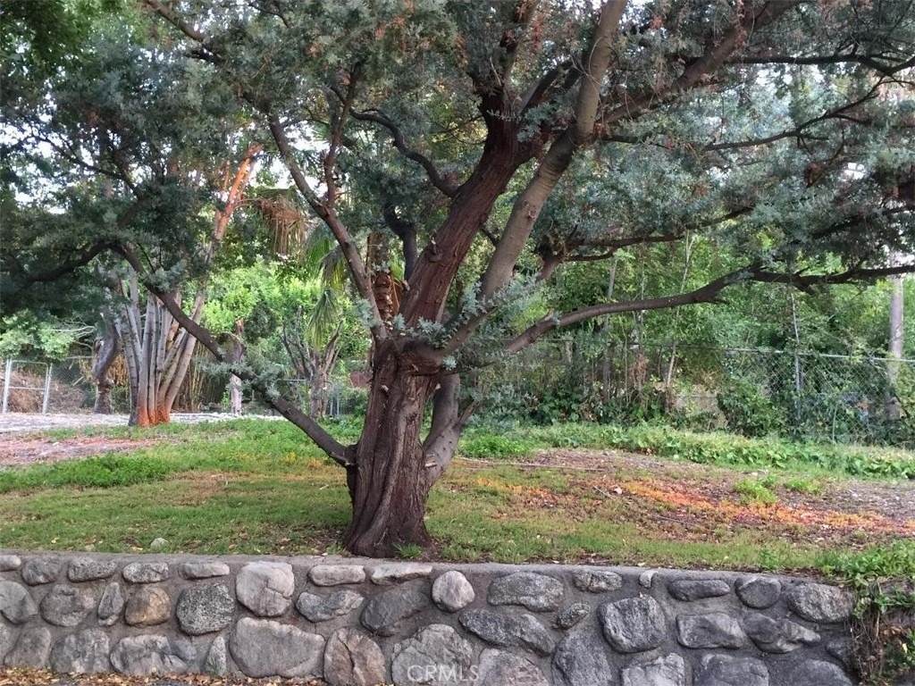 10630 Hillhaven Avenue - Photo 3
