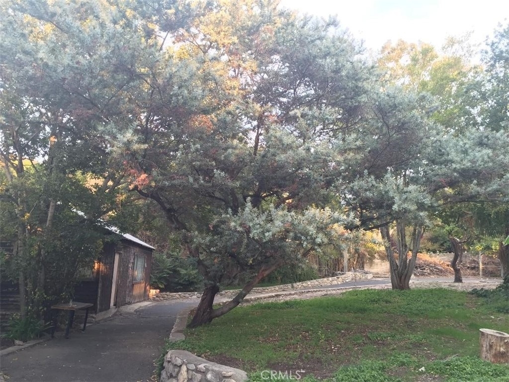 10630 Hillhaven Avenue - Photo 8