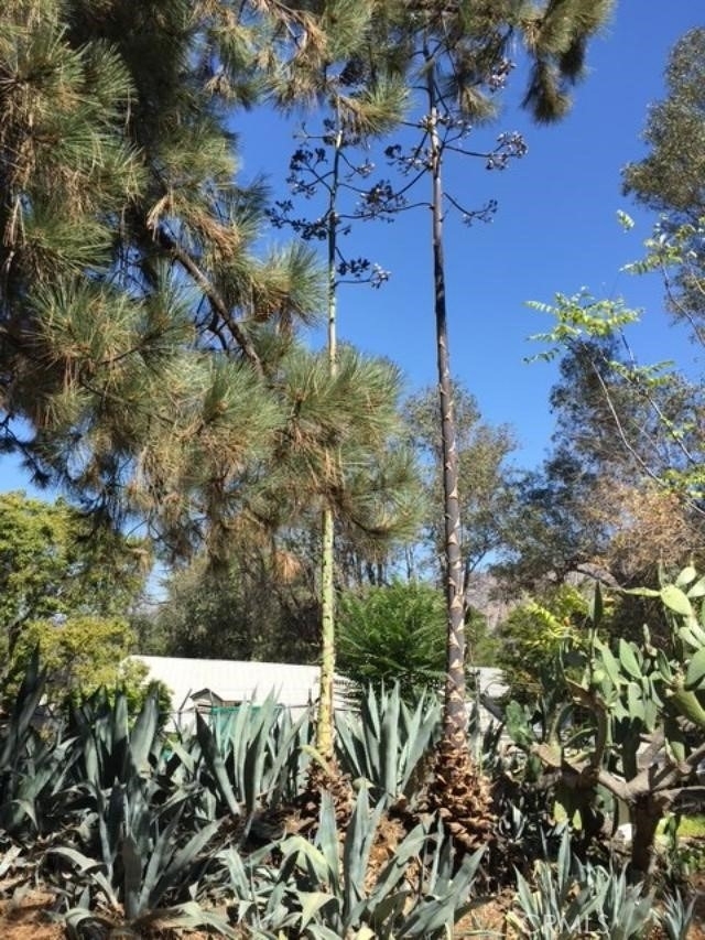 10630 Hillhaven Avenue - Photo 4