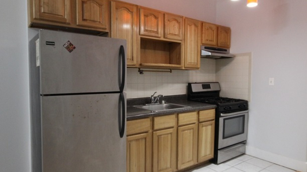828 Halsey St 11233 - Photo 0