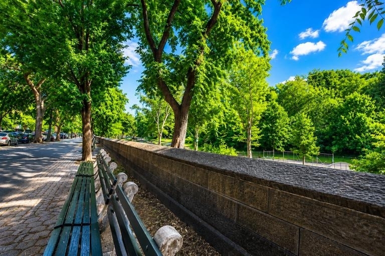 225 Central Park N - Photo 17